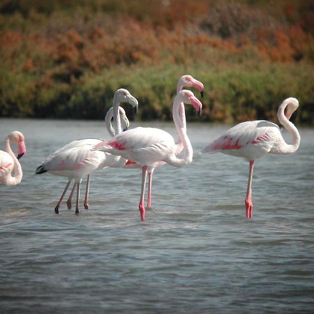 Alojamiento Rural Coto De La Isleta El Puerto de Santa María Kültér fotó