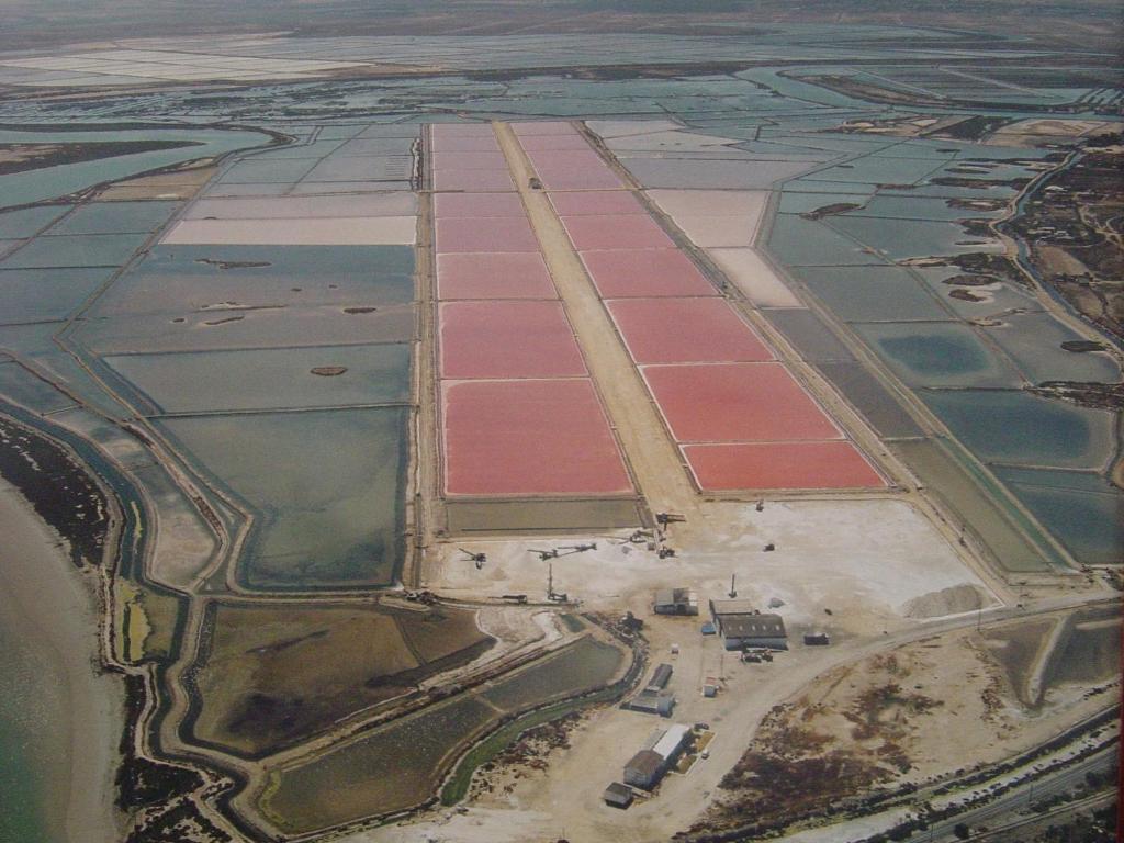 Alojamiento Rural Coto De La Isleta El Puerto de Santa María Kültér fotó