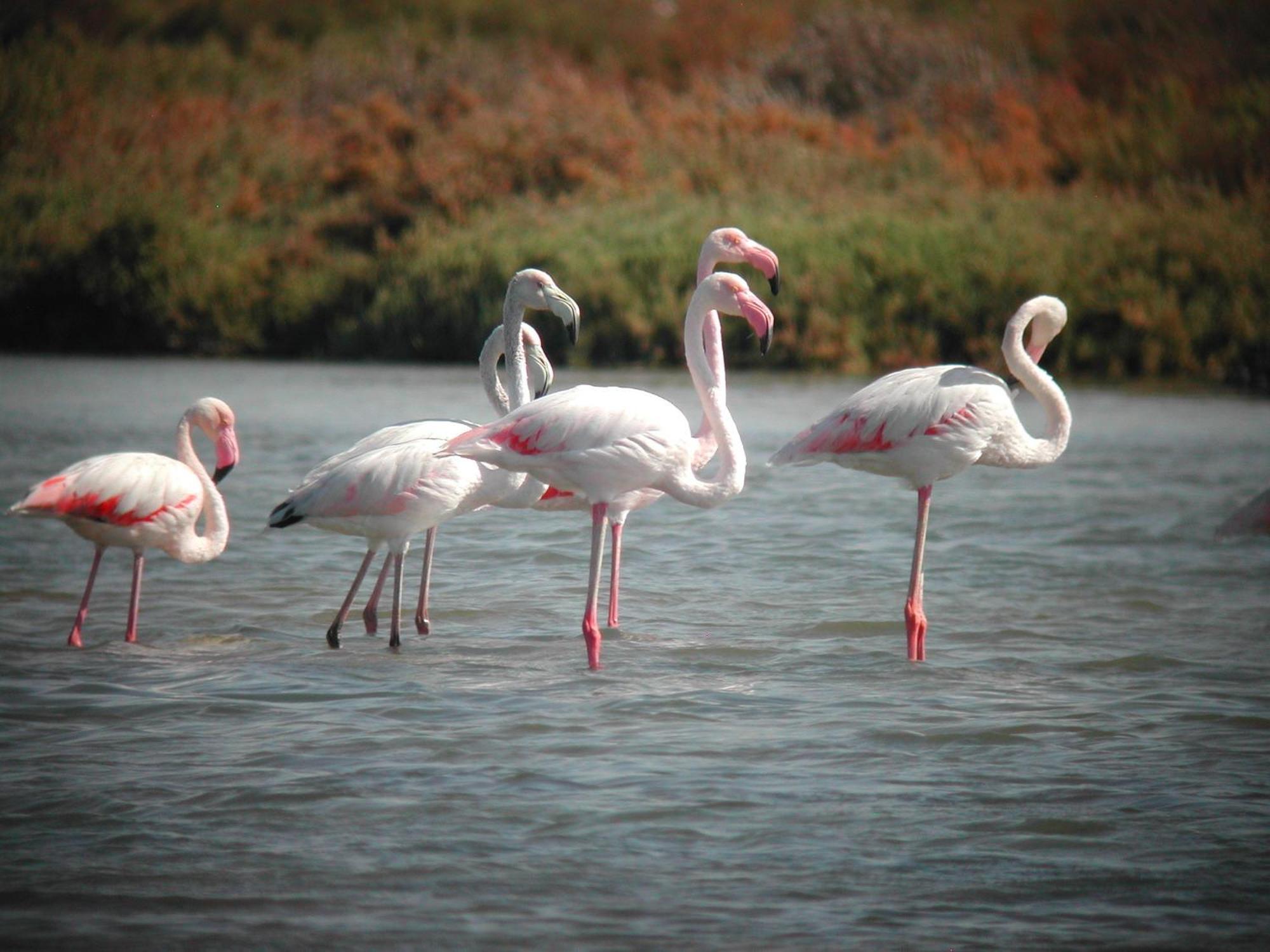 Alojamiento Rural Coto De La Isleta El Puerto de Santa María Kültér fotó